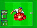 Baseball Stars 2 <span class="ext" style="background-color: #2a475e; color: #FFFFFF;">STEAM</span> <span class="ext ext_digital">digital</span> thumbnail 5