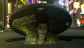Yakuza Kiwami <span class="ext" style="background-color: #2a475e; color: #FFFFFF;">STEAM</span> <span class="ext ext_digital">digital</span> thumbnail 8