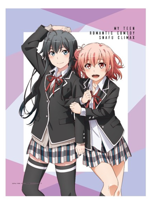 My Teen Romantic Comedy SNAFU Climax! - Yukino And Yui New Illustration B2 Wall Scroll