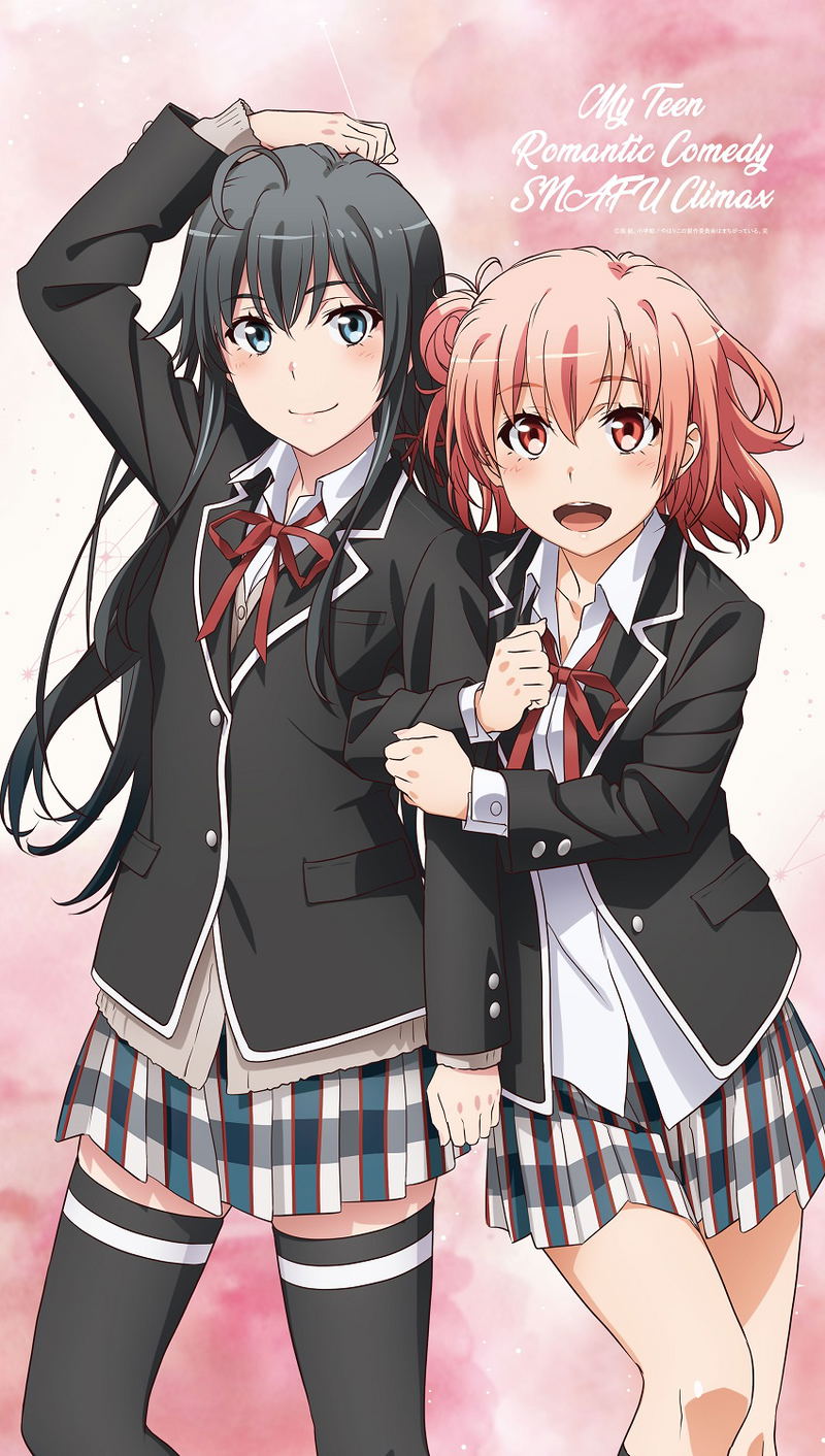 My Teen Romantic Comedy SNAFU Climax! - Yukino And Yui Multi Tapestry Noren image 1