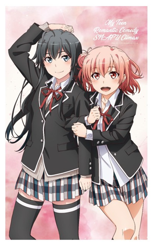 My Teen Romantic Comedy SNAFU Climax! - Yukino And Yui Multi Tapestry Noren