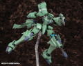 Muv-Luv Alternative 1/144 Scale Plastic Model Kit: F-22A Raptor Alfred Walken (Re-run) thumbnail 6