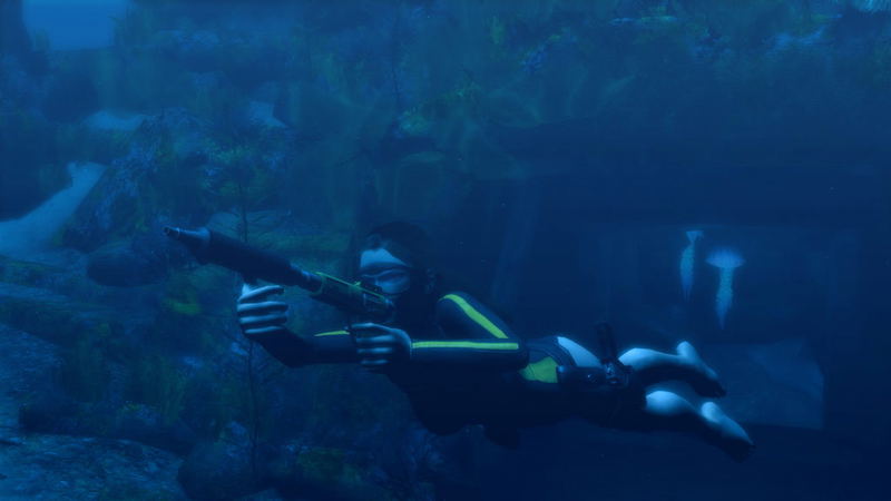 Tomb Raider: Underworld <span class="ext" style="background-color: #2a475e; color: #FFFFFF;">STEAM</span> <span class="ext ext_digital">digital</span> image 2