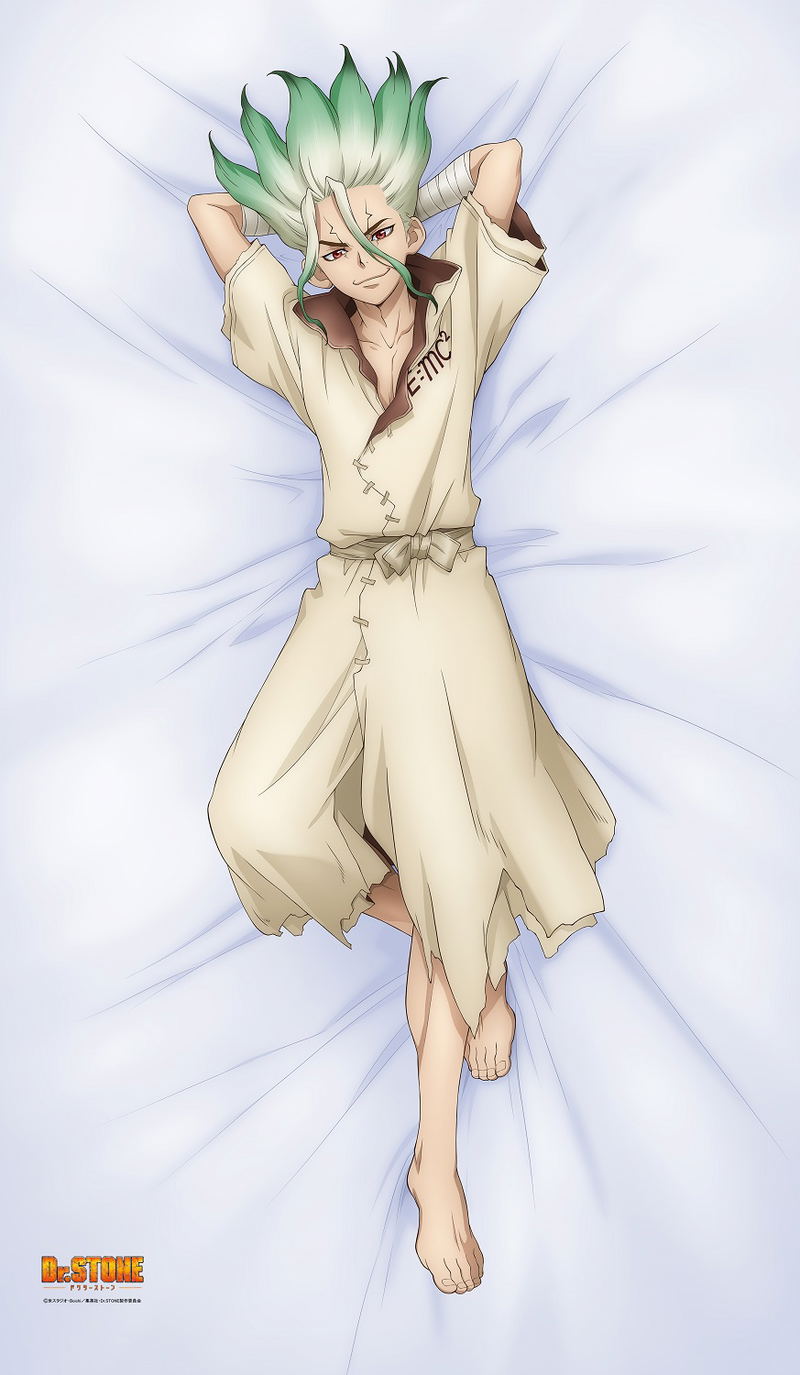 Dr. Stone Original Illustration: Ishigami Senku Soine Sheets image 1