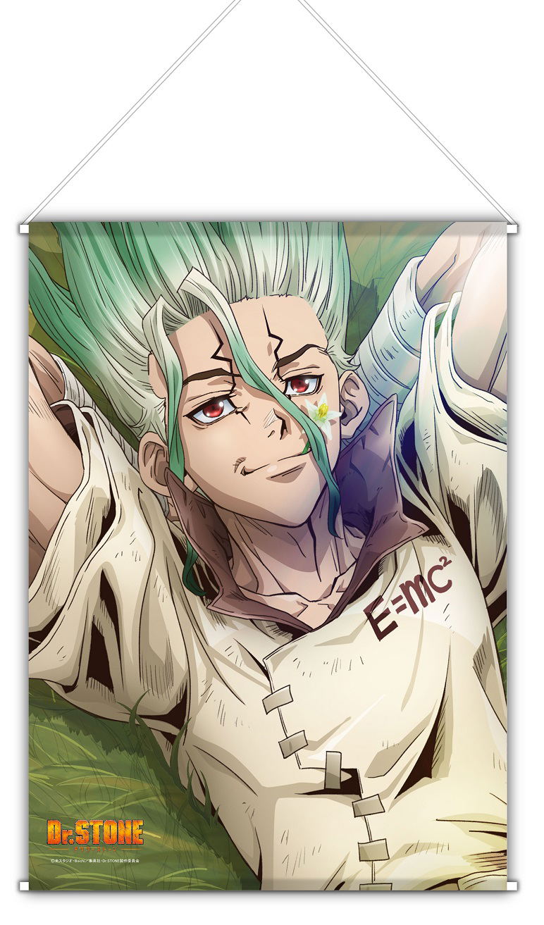 Dr. Stone: Ishigami Senku B2 Wall Scroll image 1