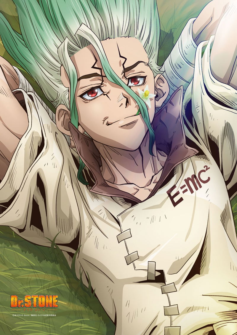 Dr. Stone: Ishigami Senku B2 Wall Scroll image 2