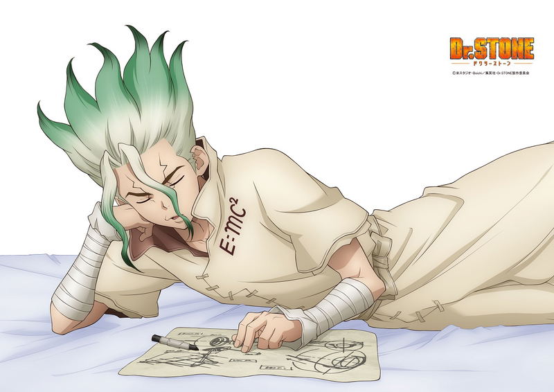 Dr. Stone: Ishigami Senku Soine B2 Wall Scroll image 2