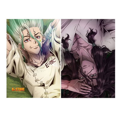 Dr. Stone Pillow Cover image 1
