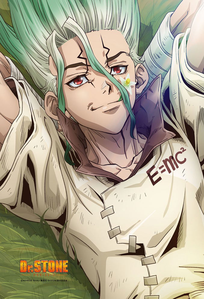 Dr. Stone Pillow Cover image 2