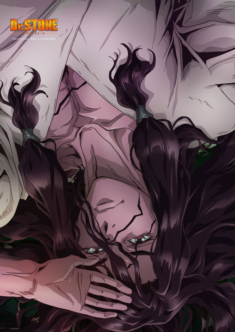 Dr. Stone: Shishio Tsukasa B2 Wall Scroll image 2