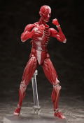 figma No. SP-142 Human Anatomical Model thumbnail 8