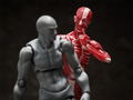 figma No. SP-142 Human Anatomical Model thumbnail 9
