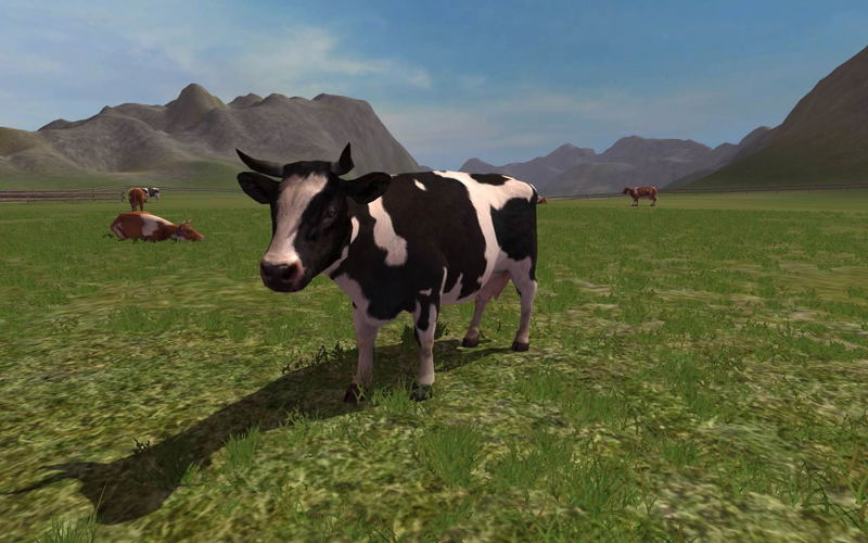 Farming Simulator 2011 <span class="ext" style="background-color: #2a475e; color: #FFFFFF;">STEAM</span> <span class="ext ext_digital">digital</span> image 6