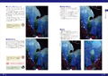 Doujinshi Design Basics And Techniques For Doujin Writers thumbnail 6