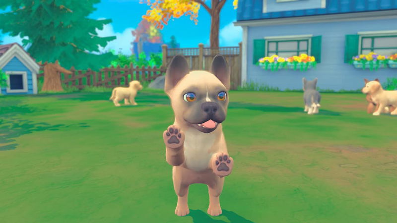 My Universe: Puppies and Kittens image 5