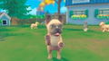 My Universe: Puppies and Kittens thumbnail 5