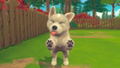 My Universe: Puppies and Kittens thumbnail 8