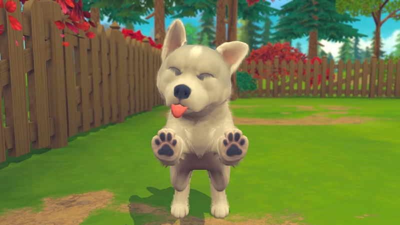 My Universe: Puppies and Kittens image 8