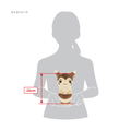 Pokemon All Star Collection Plush Toy: PP201 Furret thumbnail 5