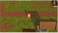 Harvest Life thumbnail 7