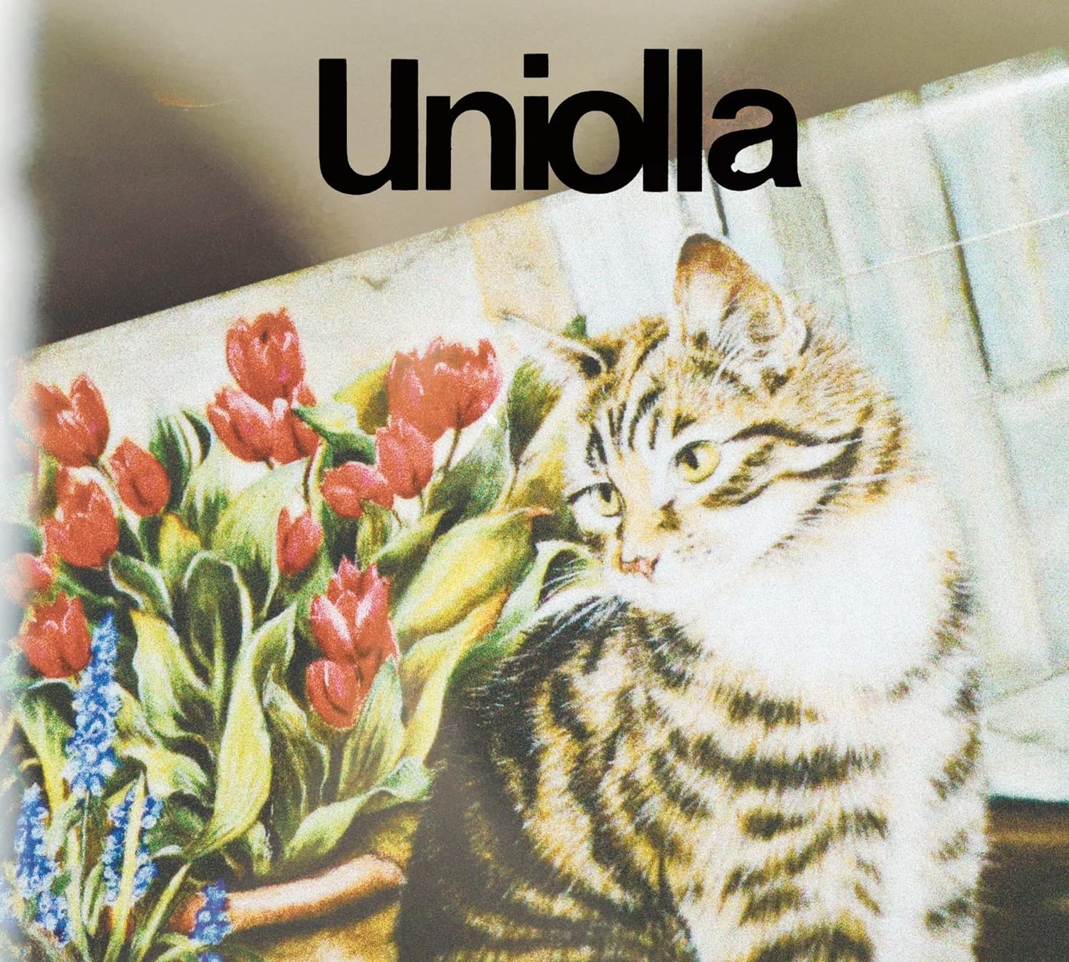 Uniolla [Limited Edition] (Vinyl)