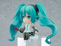 Nendoroid Swacchao Piapro Characters: Hatsune Miku NT Akai Hane Central Community Chest of Japan Campaign Ver. [GSC Online Shop Exclusive Ver.] thumbnail 6
