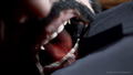 Vampire: The Masquerade - Swansong thumbnail 3