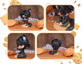 Time Raiders Cute Animal Chibi Figure Series (Set of 6 Pieces) thumbnail 5