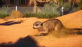 Planet Zoo: Africa Pack (DLC) <span class="ext" style="background-color: #2a475e; color: #FFFFFF;">STEAM</span> <span class="ext" style="background-color: #B0000F; color: #FFFFFF;">DLC</span> <span class="ext ext_digital">digital</span> thumbnail 2