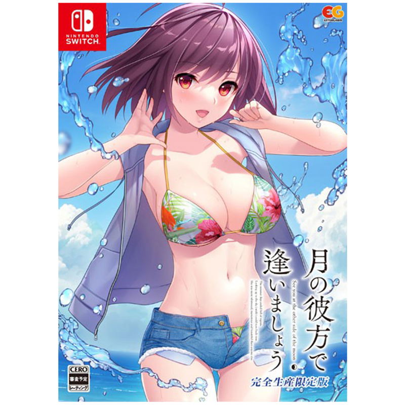 Tsuki no Kanata de Aimashou [Limited Edition] image 1