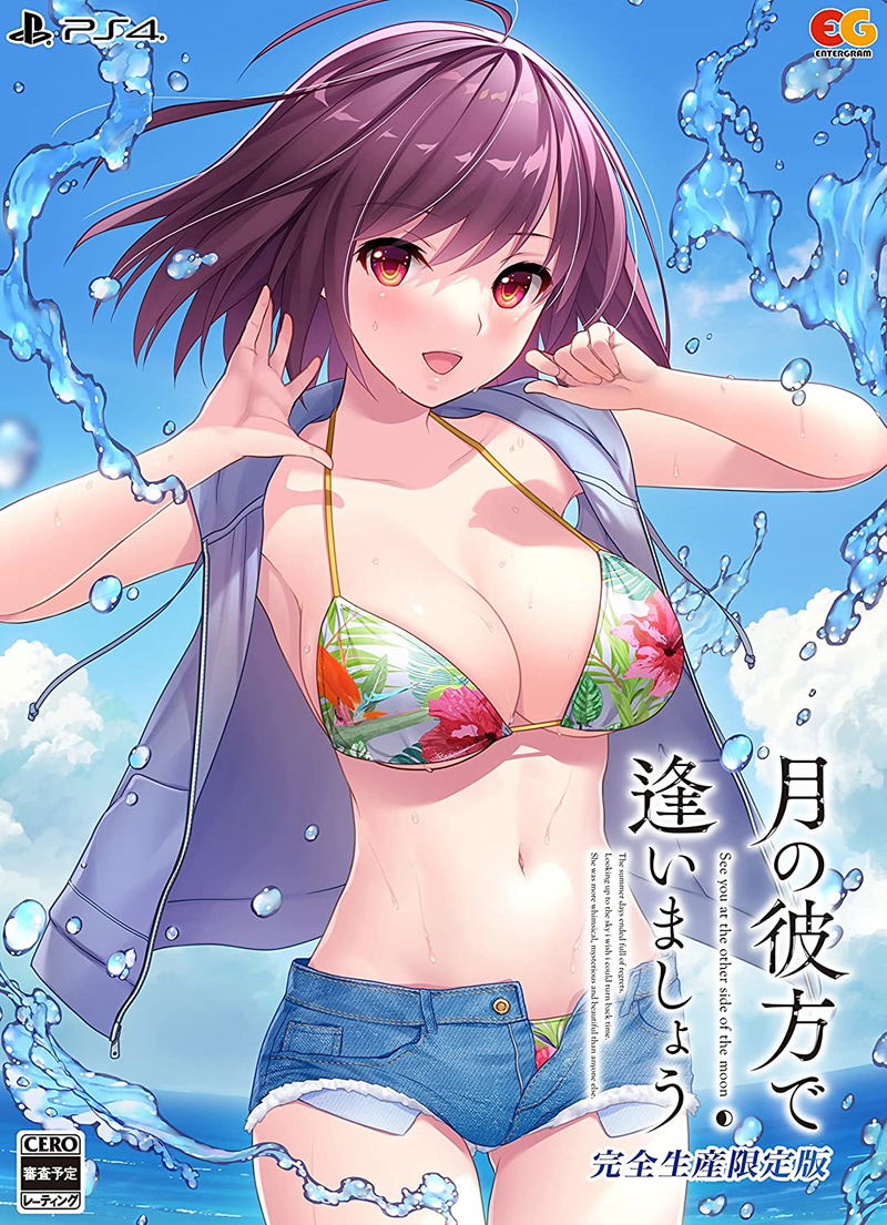 Tsuki no Kanata de Aimashou [Limited Edition] image 1