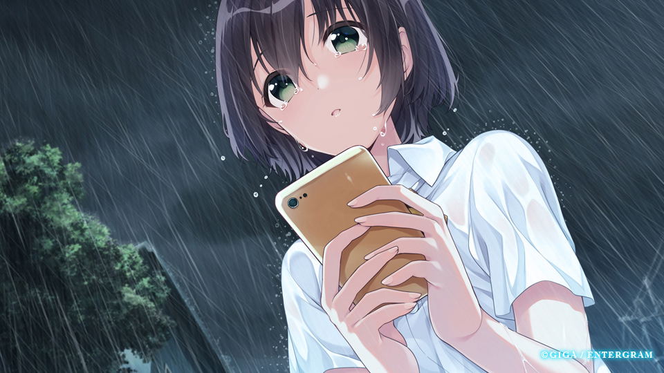 Aonatsu Line [Limited Edition] for Nintendo Switch, Nintendo Switch 2