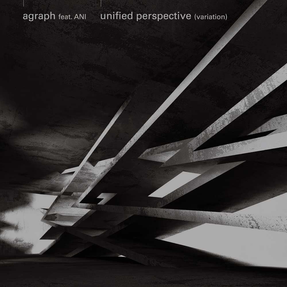 Unified Perspective [Limited Edition] (7" Vinyl) — Import Game Deal