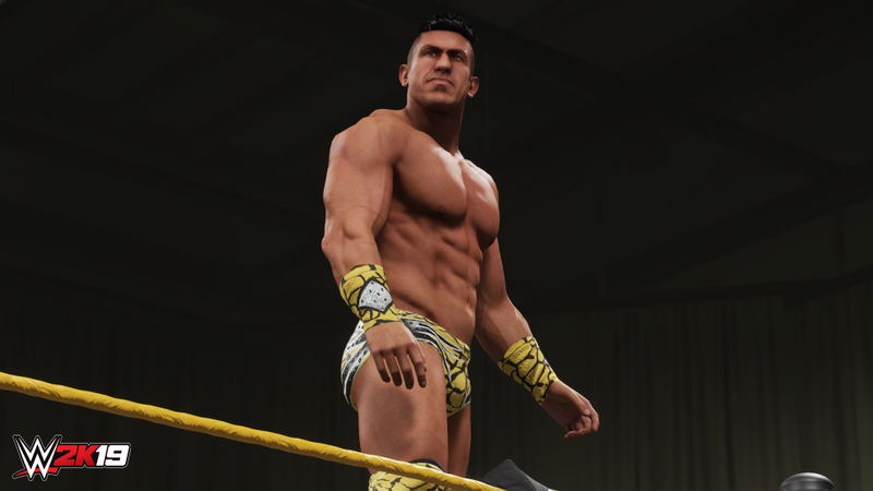 WWE 2K19: Titans Pack (DLC) <span class="ext" style="background-color: #B0000F; color: #FFFFFF;">DLC</span> <span class="ext" style="background-color: #2a475e; color: #FFFFFF;">STEAM</span> <span class="ext ext_digital">digital</span> image 2