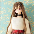 EX Cute Family 1/6 Scale Fashion Doll: Mio Futari no Kyujitsu no Sugoshikata thumbnail 23