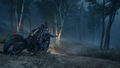 Days Gone <span class="ext" style="background-color: #2a475e; color: #FFFFFF;">STEAM</span> <span class="ext ext_digital">digital</span> thumbnail 11