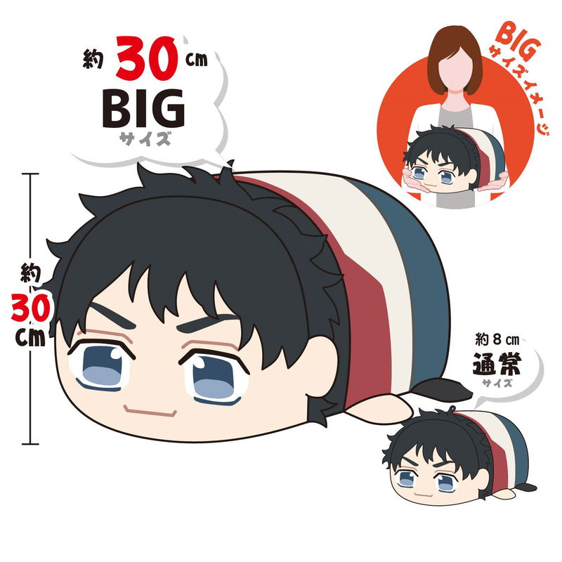 Tokyo Revengers Potekoro Mascot Big 2: TR-18 A Hanagaki Takemichi image 2