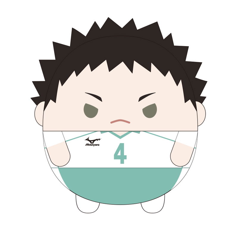 Haikyu Fuwakororin Big 4: HQ-27 B Iwaizumi Hajime image 1