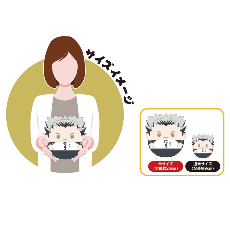 Haikyu Fuwakororin M Size 3: HQ-23 A Sawamura Daichi image 2