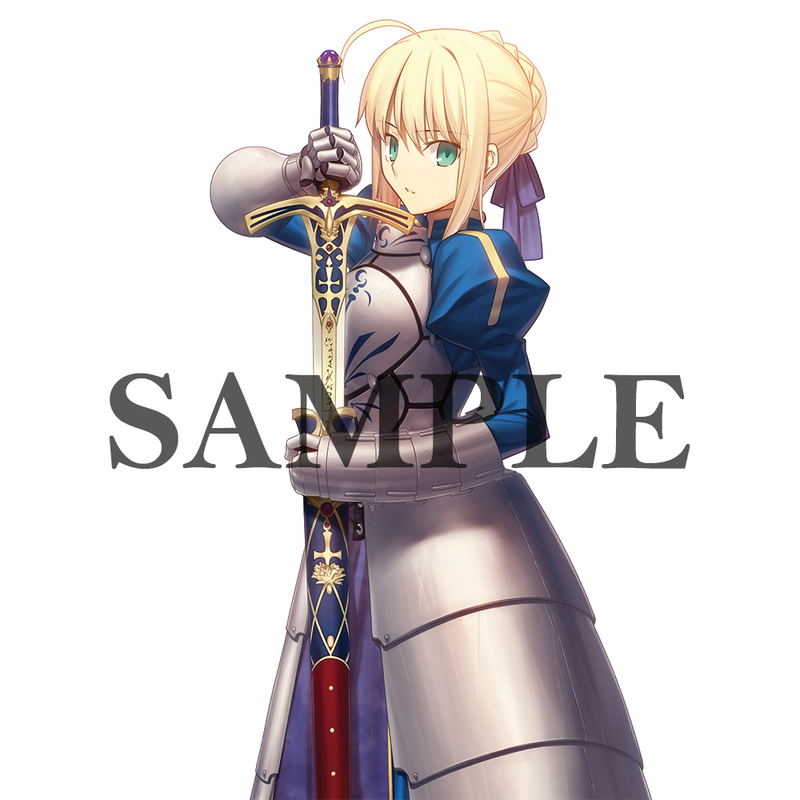 Fate/stay night Takashi Takeuchi Illustration B2 Tapestry: Saber image 1