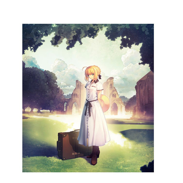 Fate セイバー F6 キャンバスアート Fate/stay Night Takashi Takeuchi Illustration F6 Canvas Art: Saber