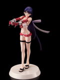 Assemble Heroines Fate/Grand Order 1/8 Scale Model Kit: Ruler/Martha Summer Queens thumbnail 12