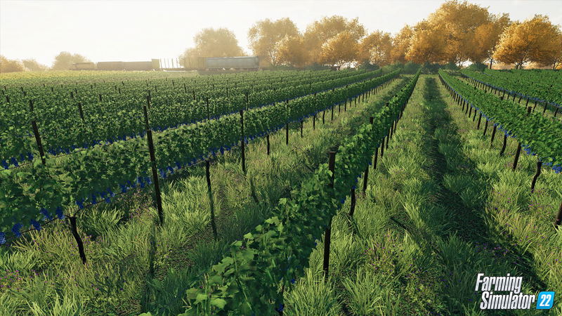 Farming Simulator 22 <span class="ext" style="background-color: #2a475e; color: #FFFFFF;">STEAM</span> <span class="ext ext_digital">digital</span> image 3