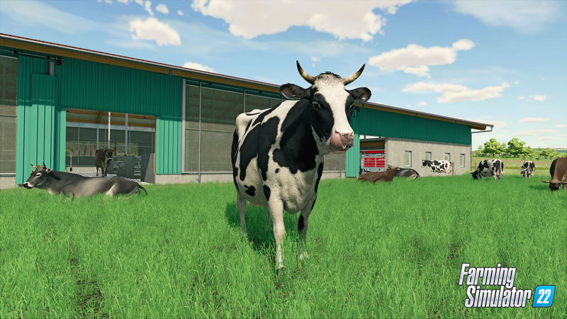 Farming Simulator 22 <span class="ext" style="background-color: #2a475e; color: #FFFFFF;">STEAM</span> <span class="ext ext_digital">digital</span> image 7