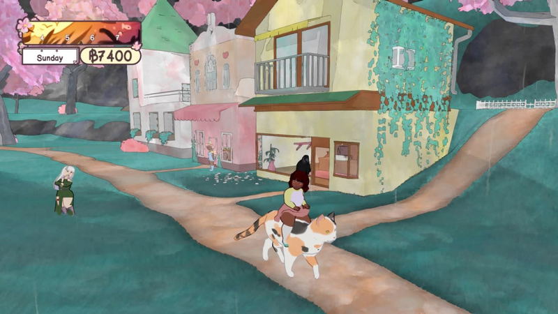 Calico image 3