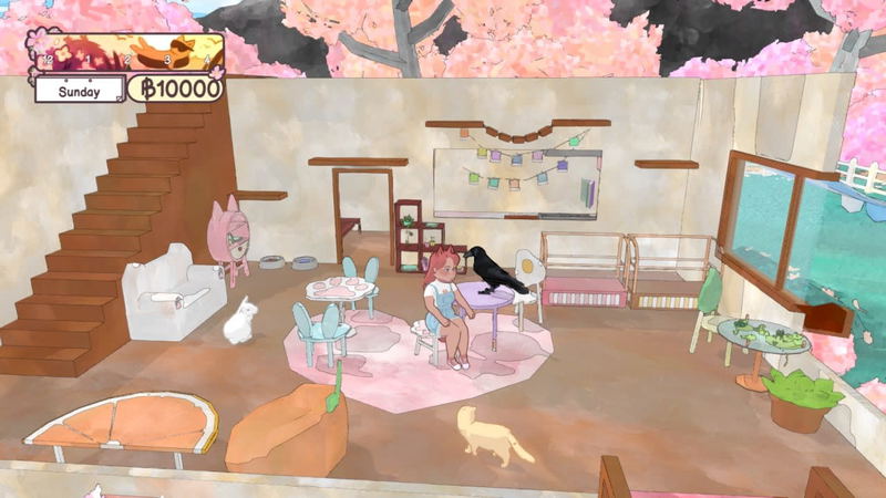 Calico image 7