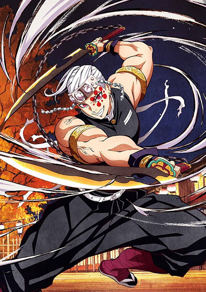 Demon Slayer: Kimetsu No Yaiba - Entertainment District Arc 1 [Limited Edition] image 1