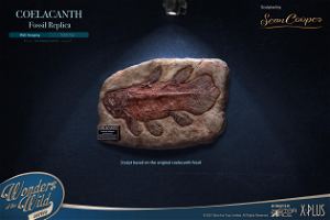 Wonders of the Wild Series: Coelacanth Fossil Replica