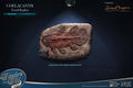 Wonders of the Wild Series: Coelacanth Fossil Replica thumbnail 2