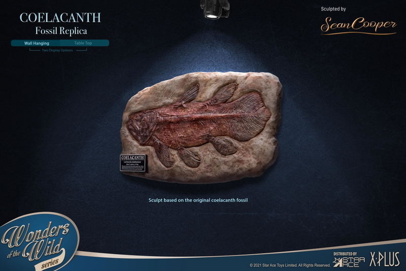 Wonders of the Wild Series: Coelacanth Fossil Replica image 2